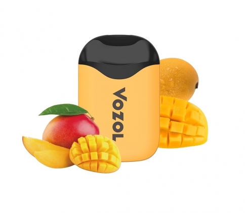 Электронный Персональный Испаритель VOZOL 1000 (Ледяной манго)