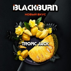 Кальянная смесь BlackBurn (Спелый Джекфрут) купить в Калининграде